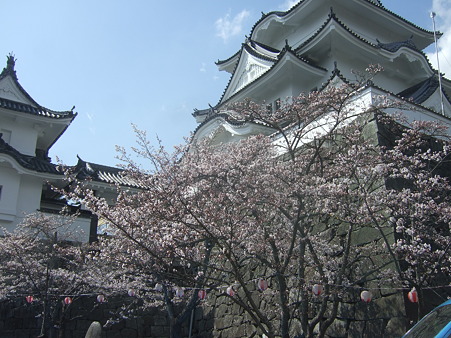 DSCF4769