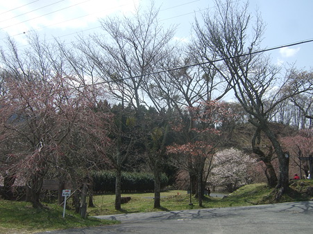 DSCF4852