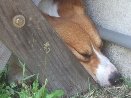 DSCF5202