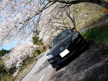 2010-04-18 9-50-39