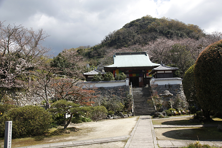 善応寺 - 05