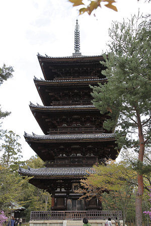 仁和寺 - 11
