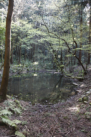 天神山城 - 04