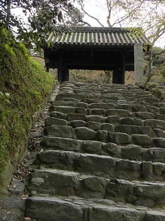 DSCN3799