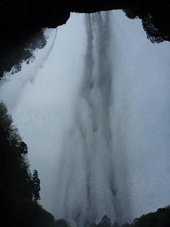 P1000135