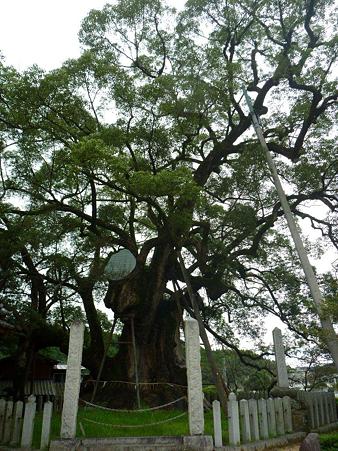 P1010321