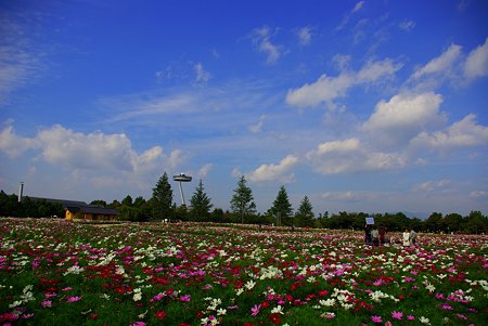 IMGP4841
