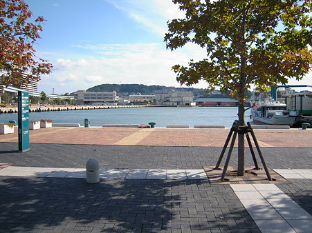 DSCN1462