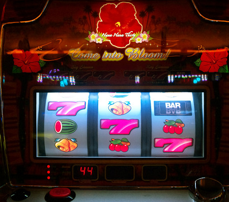 DVC00340_edited