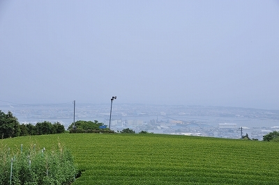 日本平旧道より清水港1
