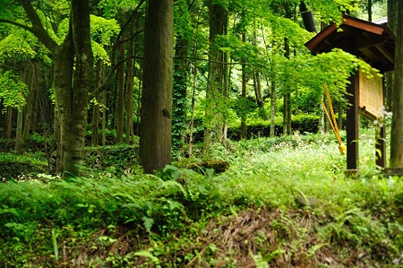 1106221456_DSC_1429