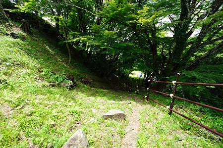 1106231221_DSC_2274