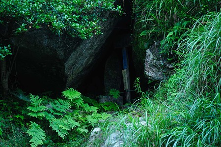 1107120621_DSC_5205