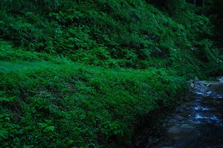 1107120622_DSC_5211