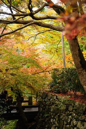 0911181059_DSC_0920