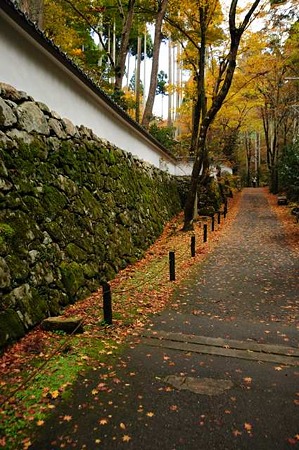 0911181141_DSC_1035