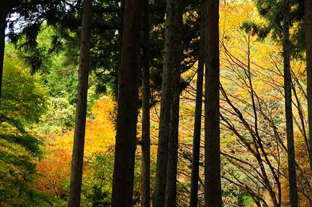 0911181213_DSC_1160