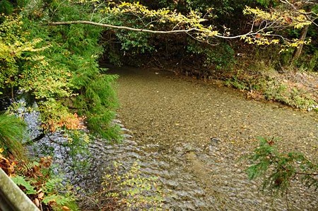 0911181306_DSC_1251