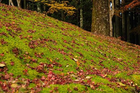 0911181323_DSC_1278