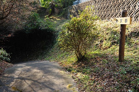1001020952_DSC_6261