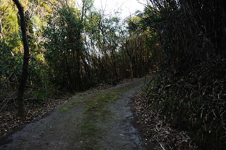 1001020955_DSC_6272