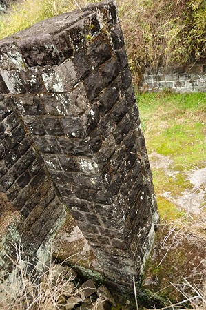1001021122_DSC_6488