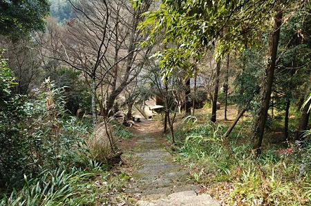 1001031000_DSC_7745