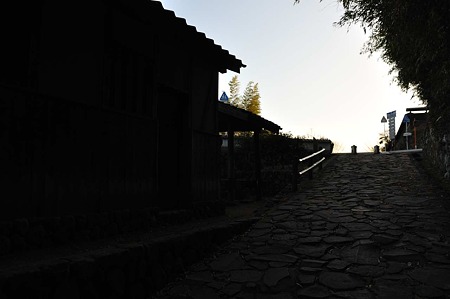 1001031634_DSC_8869