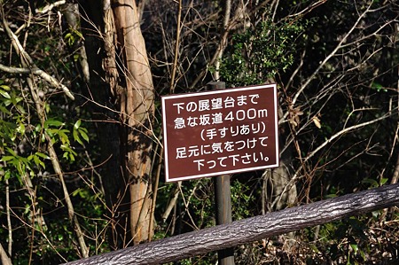 1001041326_DSC_9833
