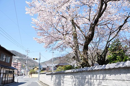 1004081057_DSC_1934