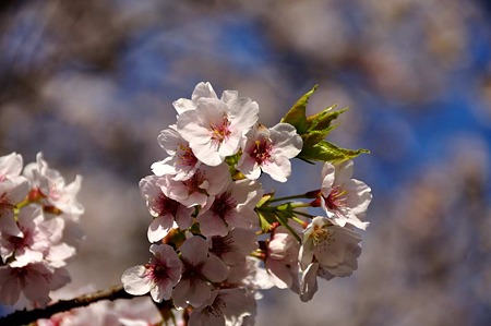 1004081642_DSC_2641