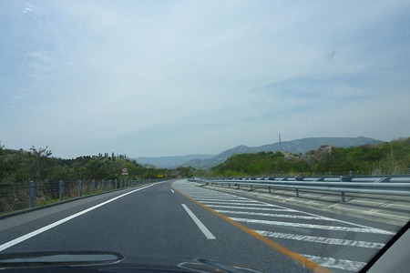 1005031007_P1650066