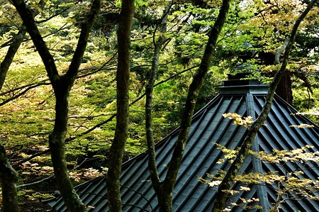 1005031617_DSC_3906