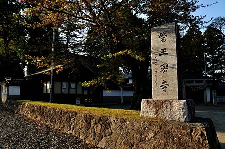 1005031717_DSC_4116