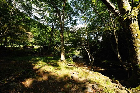 1010131336_DSC_1694