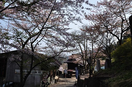 1005050829_DSC_5059