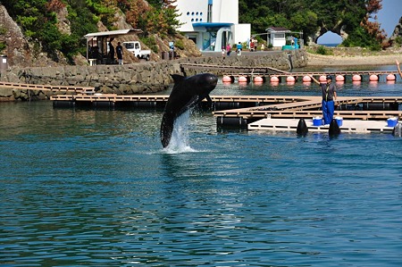 1009191416_DSC_1941