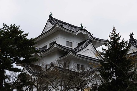 1011231010_DSC_3698