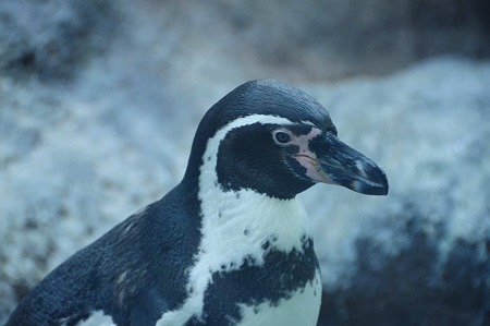1011241558_DSC_3970