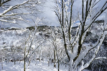 1101011212_DSC_6183