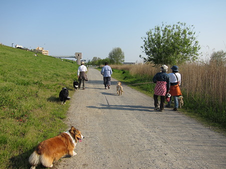 IMG_0108