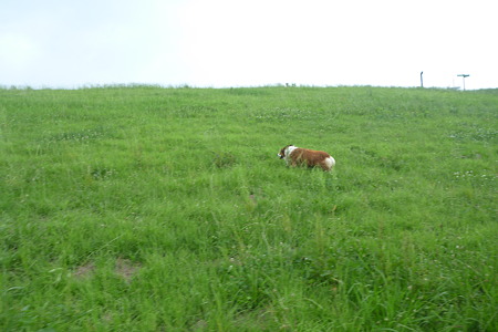 P1010735