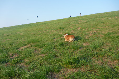 P1010992