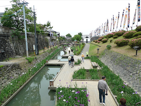 高瀬裏川花しょうぶまつり(1)