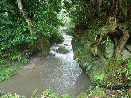 山吹水源(2)