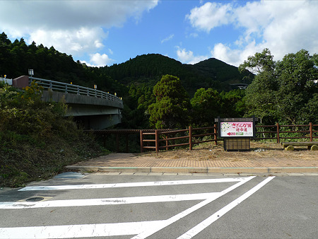 道の駅吉野ヶ里~干石山のサザンカ(1)