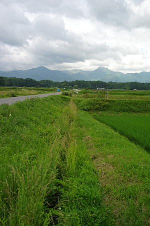 L1001014d
