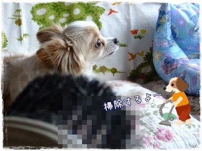 掃除