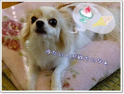 欲しいぃ