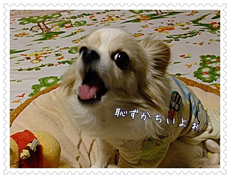 はずかしい